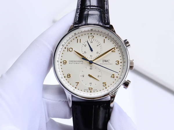 アイ・ダブリュー・シー背面デザイン